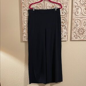 Banana Republic Navy Wide Leg Pants